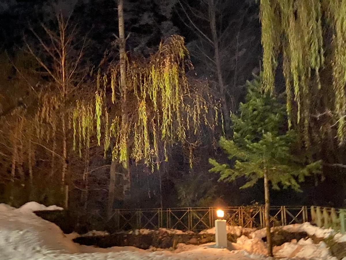 Solang Valley Resort Manāli Kültér fotó