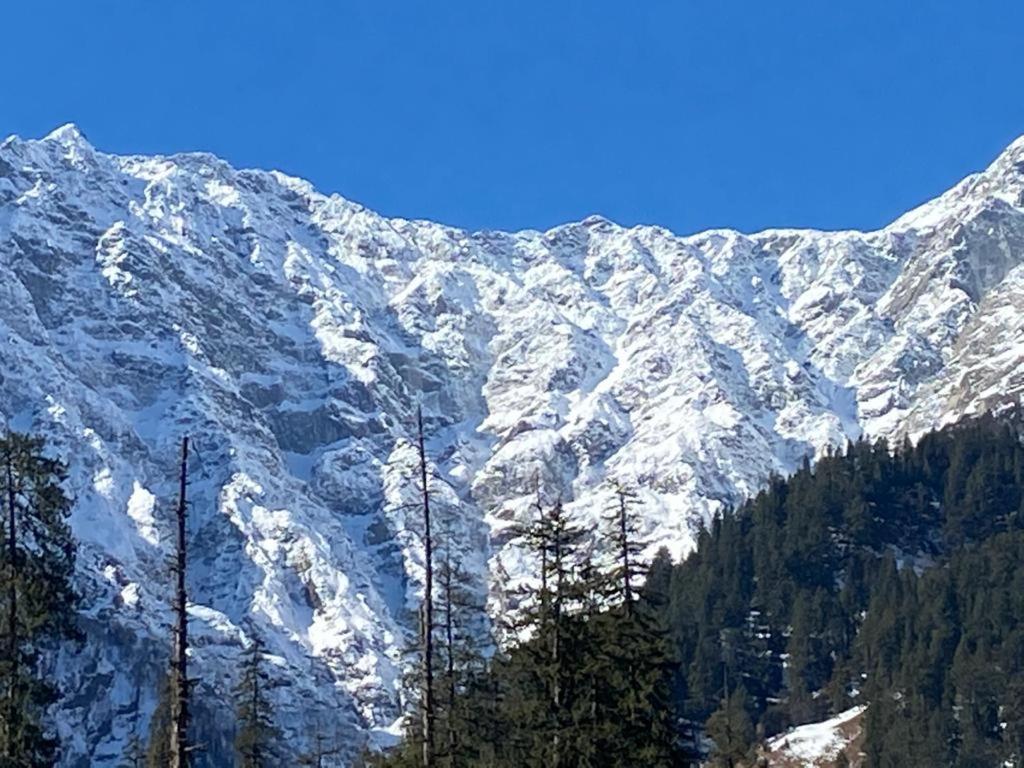 Solang Valley Resort Manāli Kültér fotó