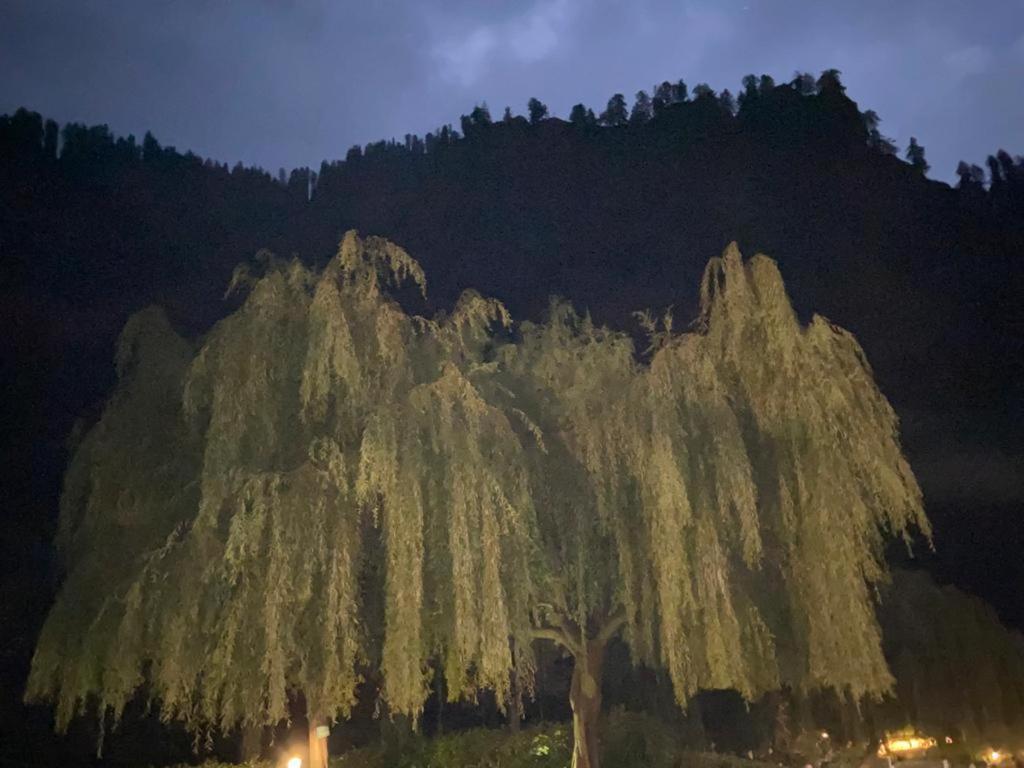 Solang Valley Resort Manāli Kültér fotó